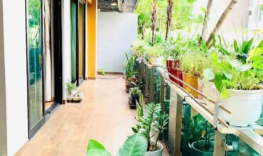 Giá cho thuê 2 Phòng ngủ Feliz En Vista Sân Vườn